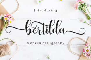 Bertilda Script: Elevating Your Design Projects