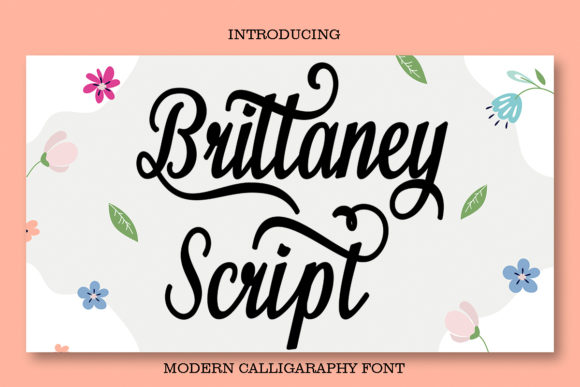 Brittaney Script: A Designer's Guide to This Elegant Font