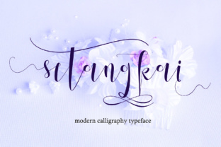Elevate Your Brand with Setangkai Script's Modern Elegance