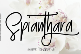 Elevate Your Projects with Spianthara Script