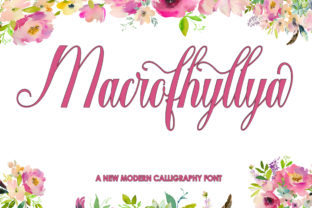 Macrofhyllya Script: Where Handmade Charm Meets Modern Design