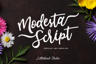 Modesta Script: Finding the Perfect Feminine Typeface